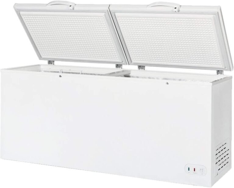 DUURA Chest Freezer Sub Zero Commercial Freezer Review
